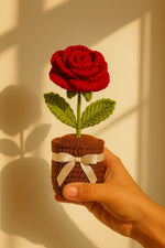 Rose Crochet Pot