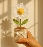 Sunny Smiles Crochet Daisy